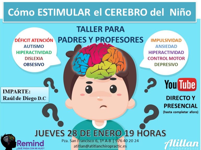 Cómo Estimular el Cerebro del Niño Quiropractica Zaragoza